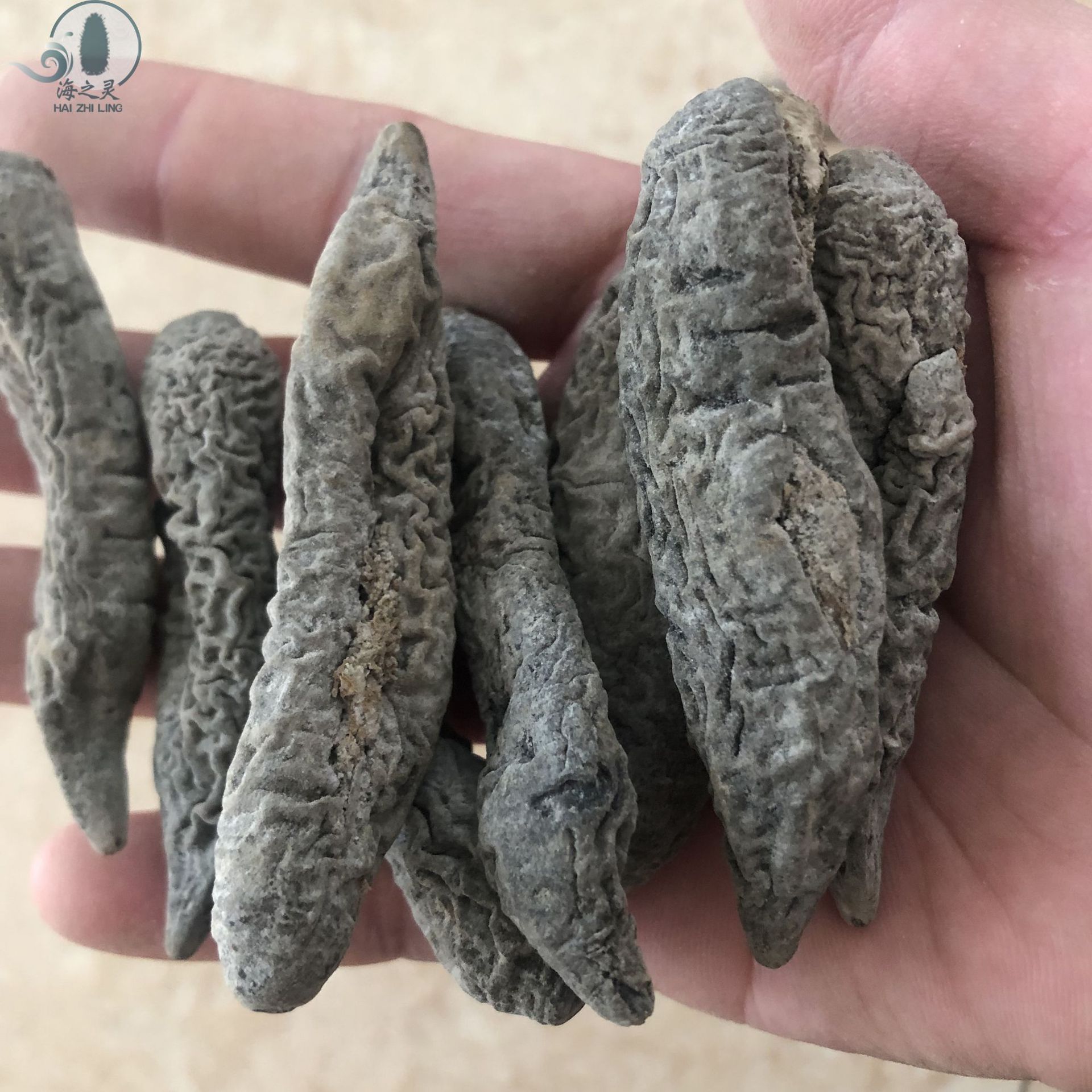 批发泰黑茄子参小头茄参海地瓜参去泥黑皮茄参83头9.