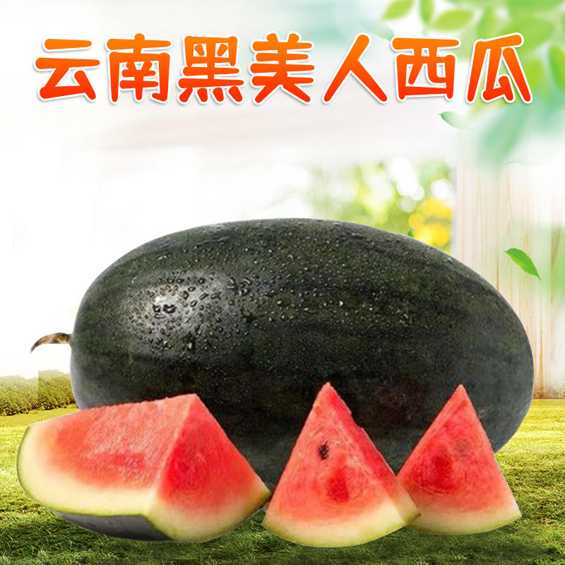 云南黑美人西瓜 代发3/5斤应季沙瓤薄皮香甜多汁新鲜水果时令甜瓜