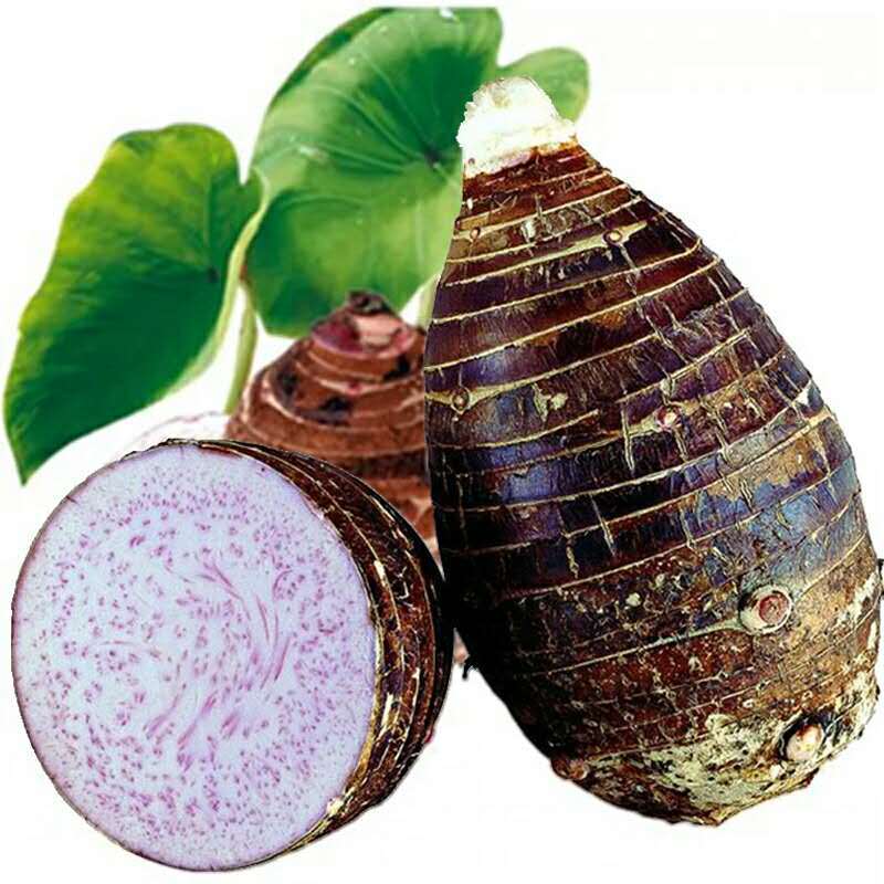 广西新鲜荔浦芋头 桂林特产紫藤大香芋槟榔芋农家自种蔬菜5斤