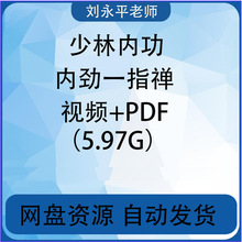 少林内功内劲一指禅名师教学视频5.97G教程资料强身健体附带口诀