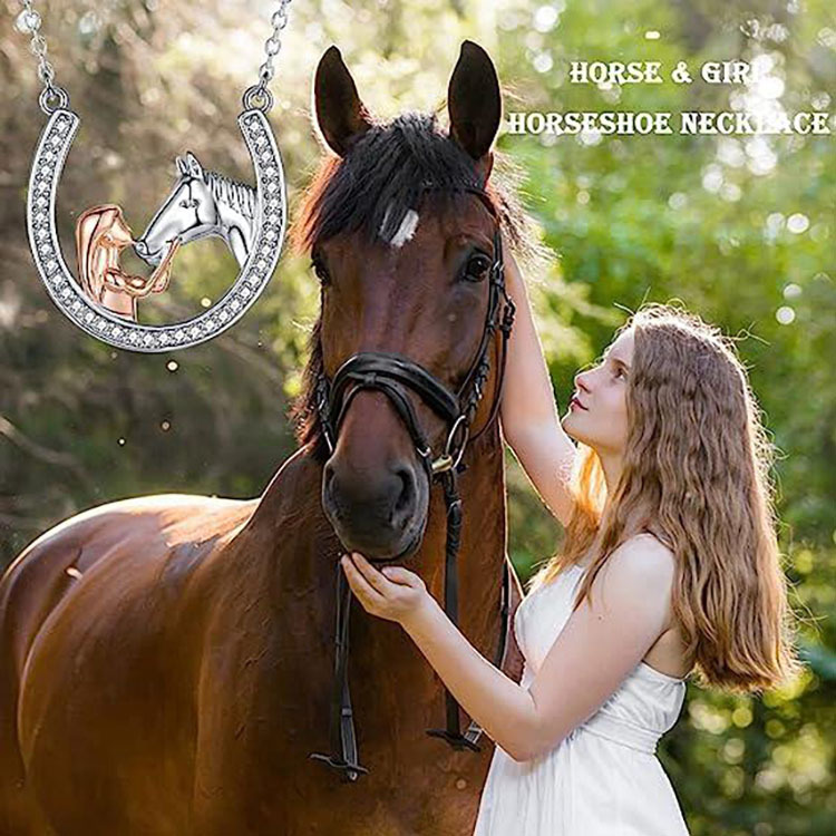 wish亚马逊跨境新款 欧美创意小众马蹄女孩与马项链necklace-阿里巴巴
