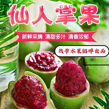 海南新鲜野生仙人掌果实5斤仙桃 应当季热带稀奇古怪没吃过的水果