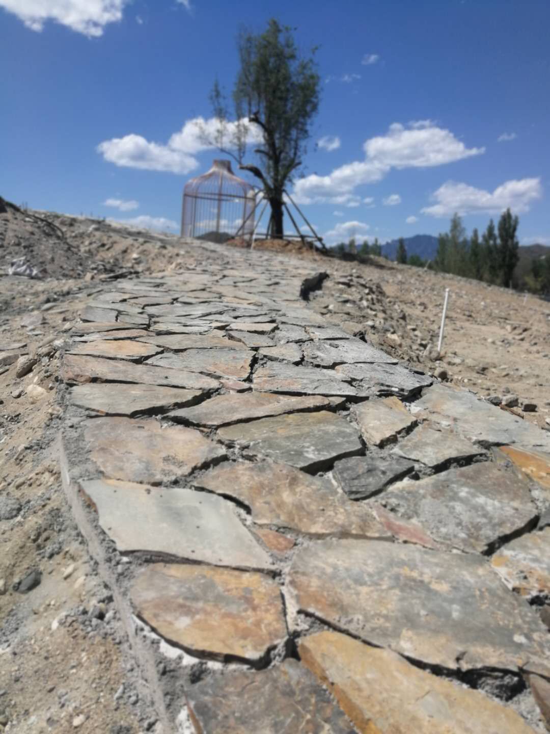 0成交195平方米黄木纹碎拼 石板 片石 乱型石 板岩石条 拍电视电影