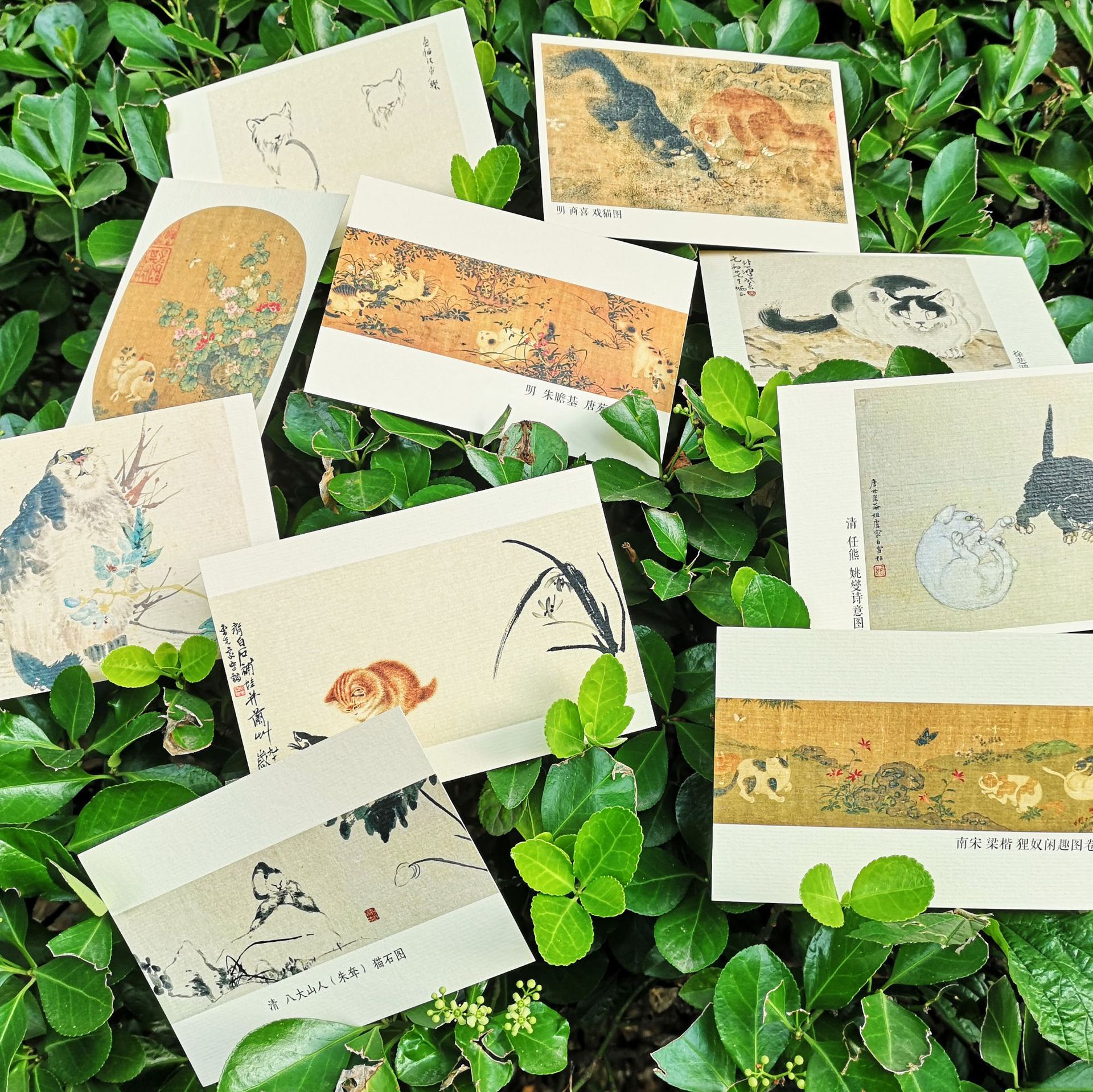 国画里的猫咪手绘明信片旅游纪念送老师外可定制logo本心如荷文创