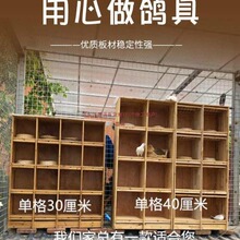 鸽具赛鸽 信鸽 巢箱 养殖配对笼 鸽舍用品比赛鸽笼抱窝养殖鸽子笼