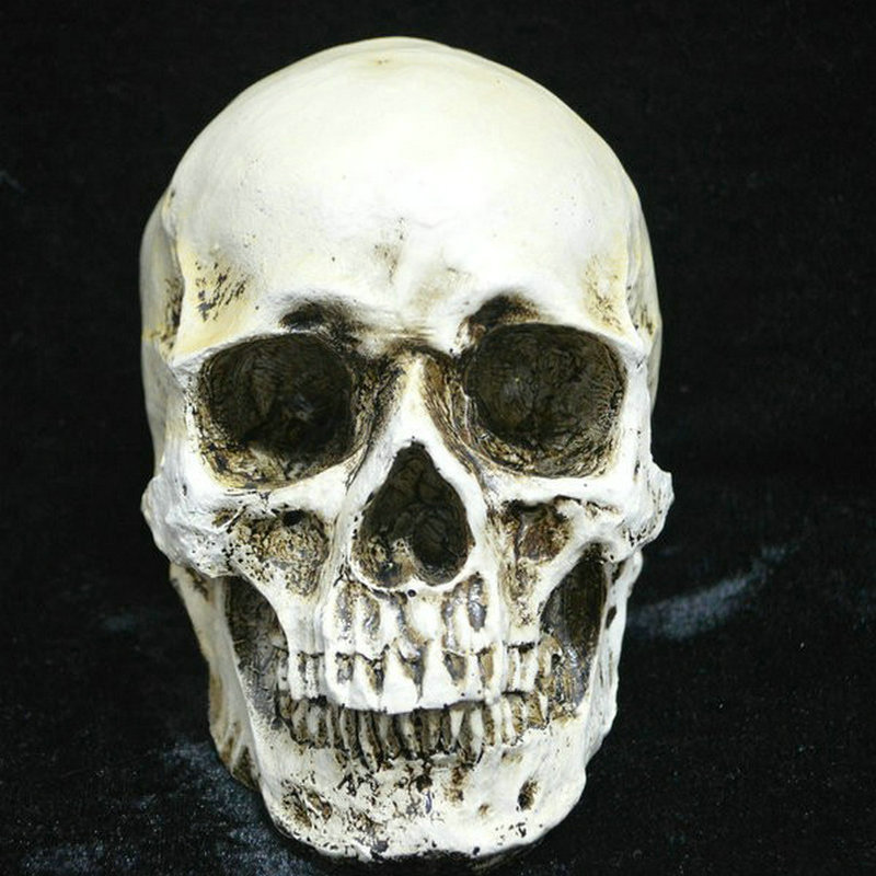 万圣节珍藏版做旧头骨成人人类头骨模型 医学头骨 树脂骷髅头