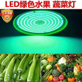 led生鲜灯蔬菜灯水果灯绿色蔬果灯蔬果吊灯蔬菜射灯节能灯绿加白