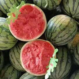 空中西瓜8424无籽西瓜批发麒麟新鲜应季水果薄皮无籽清甜多汁