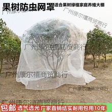 农用防虫网菜园子防风果园无花果樱桃纱窗菜地种菜橘子保护网柑橘