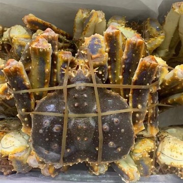 5kg起包邮生冻帝王蟹鲜活低温速冻西餐日式刺身海鲜