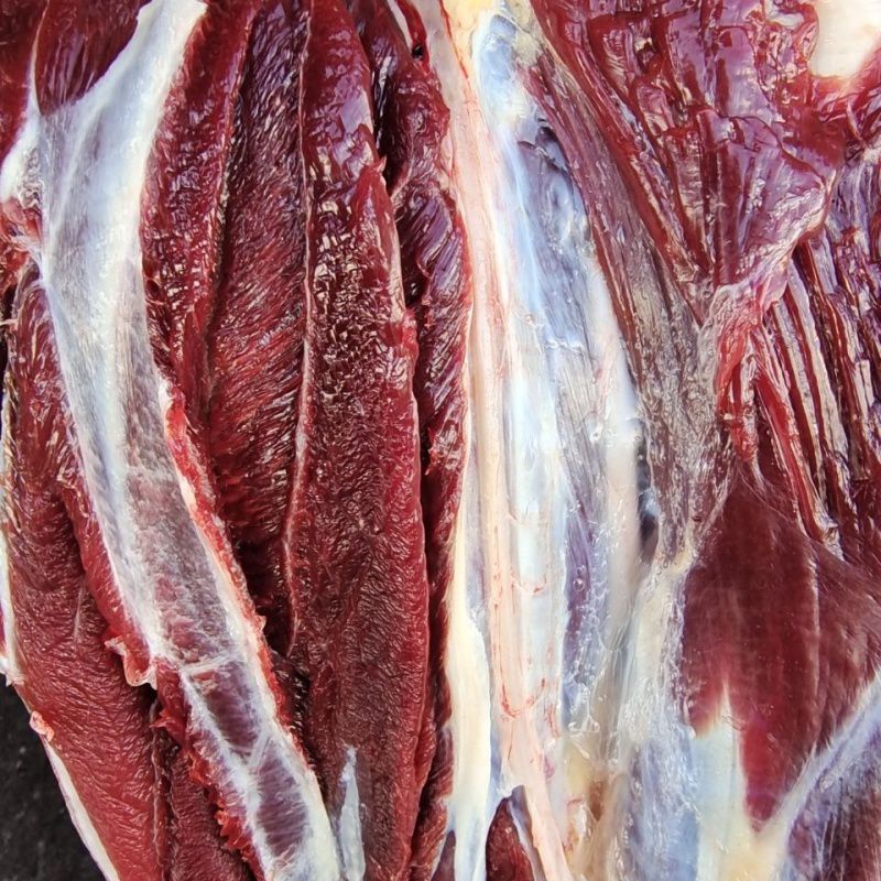 青海新鲜牦牛肉