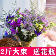 云南勿忘我满天星干花花束鲜花真花插花装饰客厅摆件花卉节日