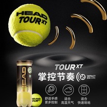 HEAD海德专业网球训练球初学者TOUR XT比赛用球室内户外高弹力打