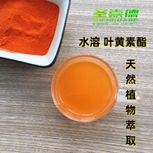 天然护眼原料叶黄素5%水溶性叶黄素酯微囊粉食品级成人儿童近视