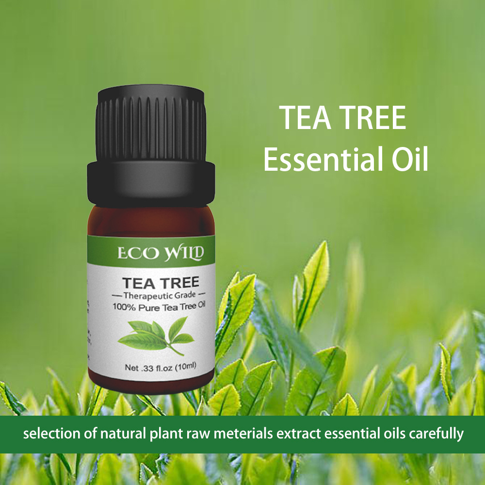 一件代发茶树精油