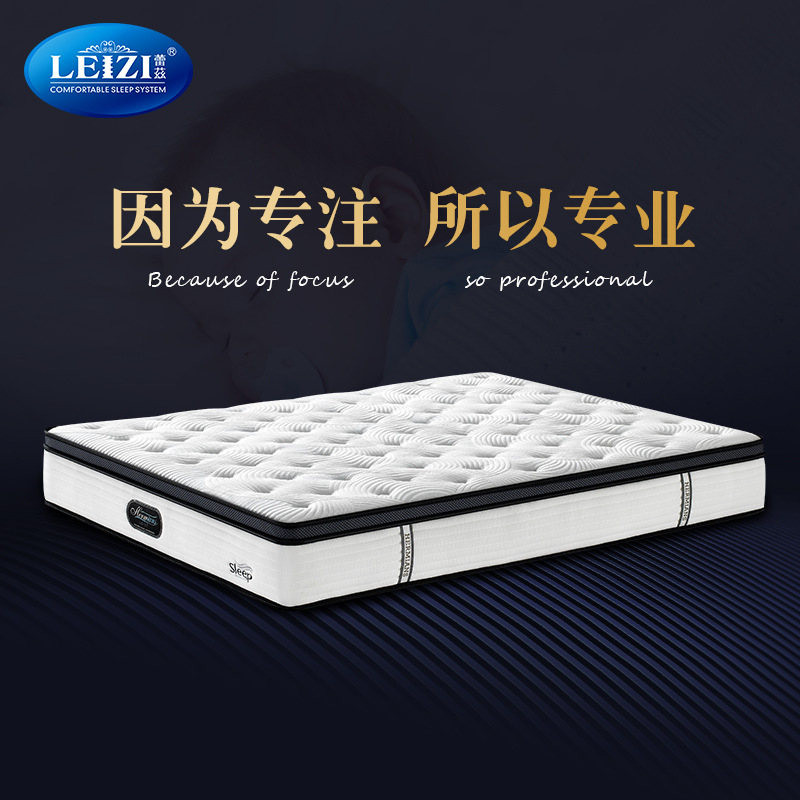 蕾兹爱丽莎软硬双用床垫3e椰梦维乳胶席梦思床垫双人床垫批发