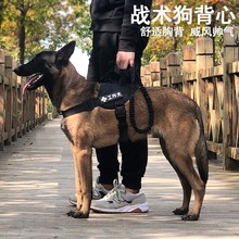 中型犬遛狗绳子马犬牵引绳项圈狗狗胸背带犬背心式牵引绳