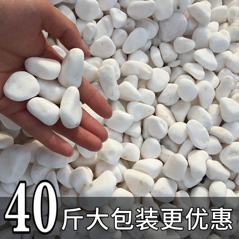 白石子庭院景观铺路铺地大鹅卵石鱼缸造景多肉盆栽装饰白色小石头