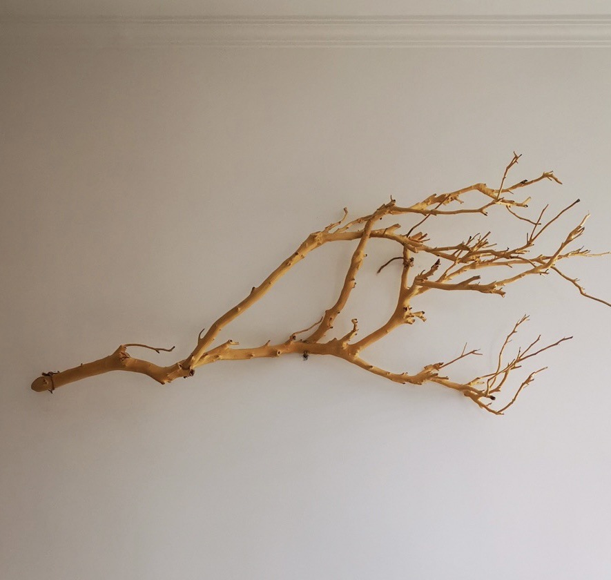 批发干树枝造景原木干枝酒店橱窗设计枯枝真树枝墙面装饰吊灯树枝