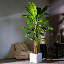 森艺诚高端轻奢大型仿真芭蕉树植物仿生假树绿植室内客厅造景装饰