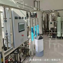 水处理厂家20吨双级RO反渗透EDI去离子保健品制药纯化水设备