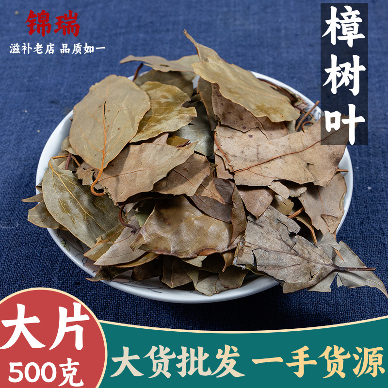 樟树叶 香樟树叶干叶 药用樟木叶 亳州中药材批发中
