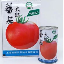 上海合作903粉红番茄种子早熟高产春秋种植大红西红柿种子大棚种