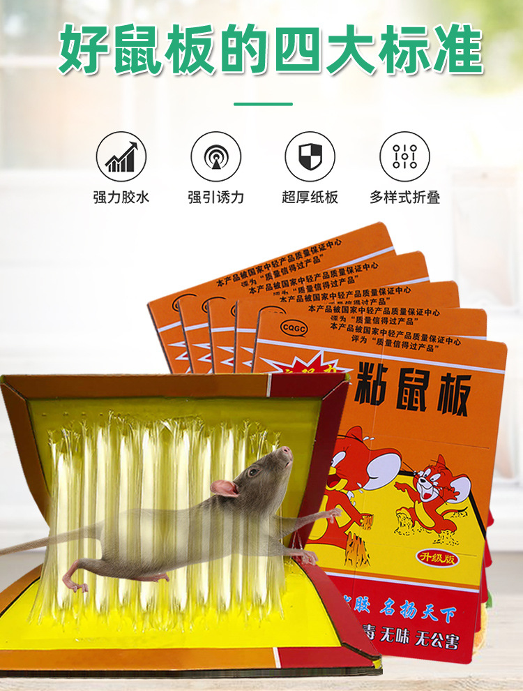 老鼠贴 粘鼠板 捕鼠贴