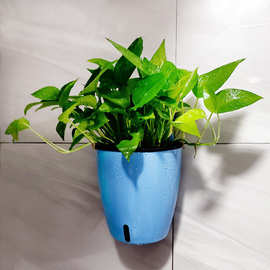 懒人自动吸水花盆墙上多肉绿萝壁挂塑料加厚挂壁挂墙盆栽水培花盆