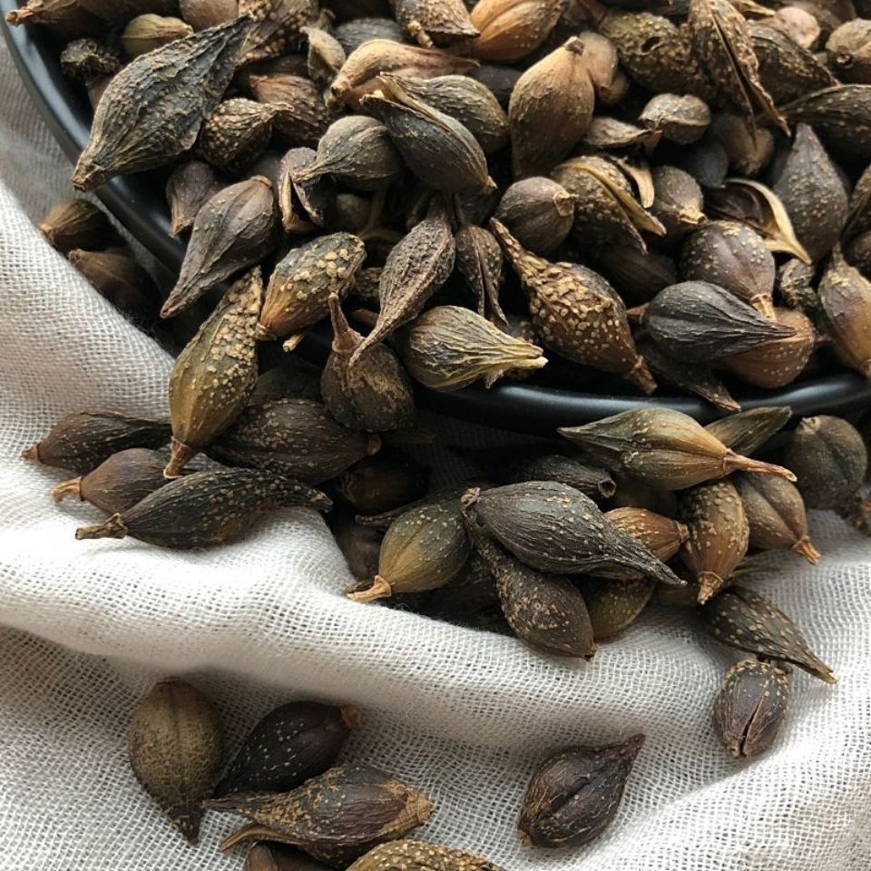 中药材 特级连翘 连壳茶 野生青翘 落翘 连召 新鲜干货包邮