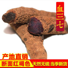 血三七云南正品野生跌打损伤疼痛泡酒料药酒料500g中草药血三七条