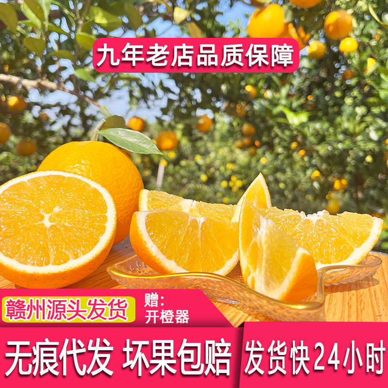 【现货】赣南脐橙10斤装大果 新鲜水果江西赣州脐橙现摘橙子批发