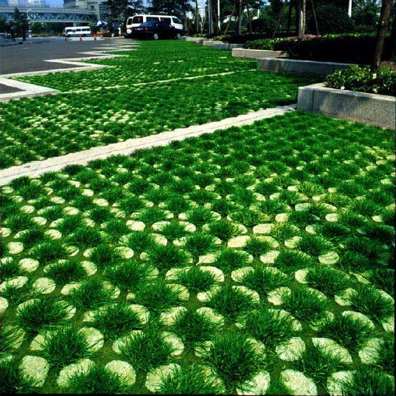 0成交0个【植草格】园林绿化停车位绿色护坡平口小区花园6边护坡￥18.