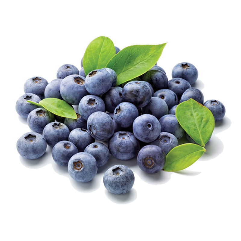 果蓝莓鲜果