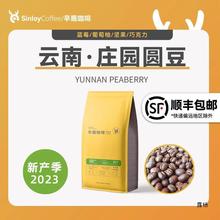 SINLOY 云南咖啡豆 阿拉比卡庄园圆豆  可现磨咖啡粉454g