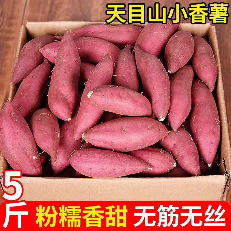 金手指番薯临安天目山小香薯板栗小红薯当季地瓜山芋蜜薯红皮黄心