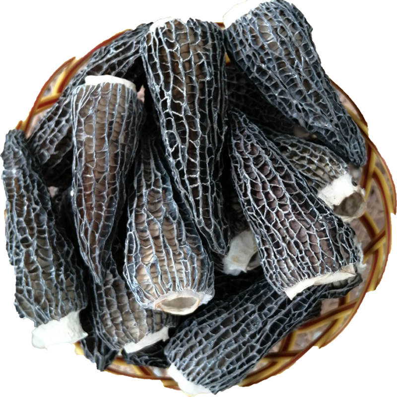 2024年云南新鲜羊肚菌干货头茬肉厚一斤蘑菇羊肚菇煲汤礼盒500g