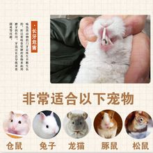 枝磨牙棒小宠咬木仓鼠荷兰猪龙猫豚鼠兔子磨牙用品甜竹厂家直销