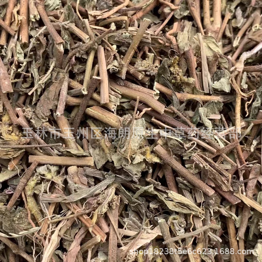 中药材大飞扬草乳汁草奶浆草奶子草 每件500克 实物拍摄不熏硫