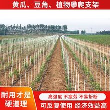 种菜专用棚架新型农用小拱棚支架遮阳防虫网拱杆菜地骨架暖棚育苗