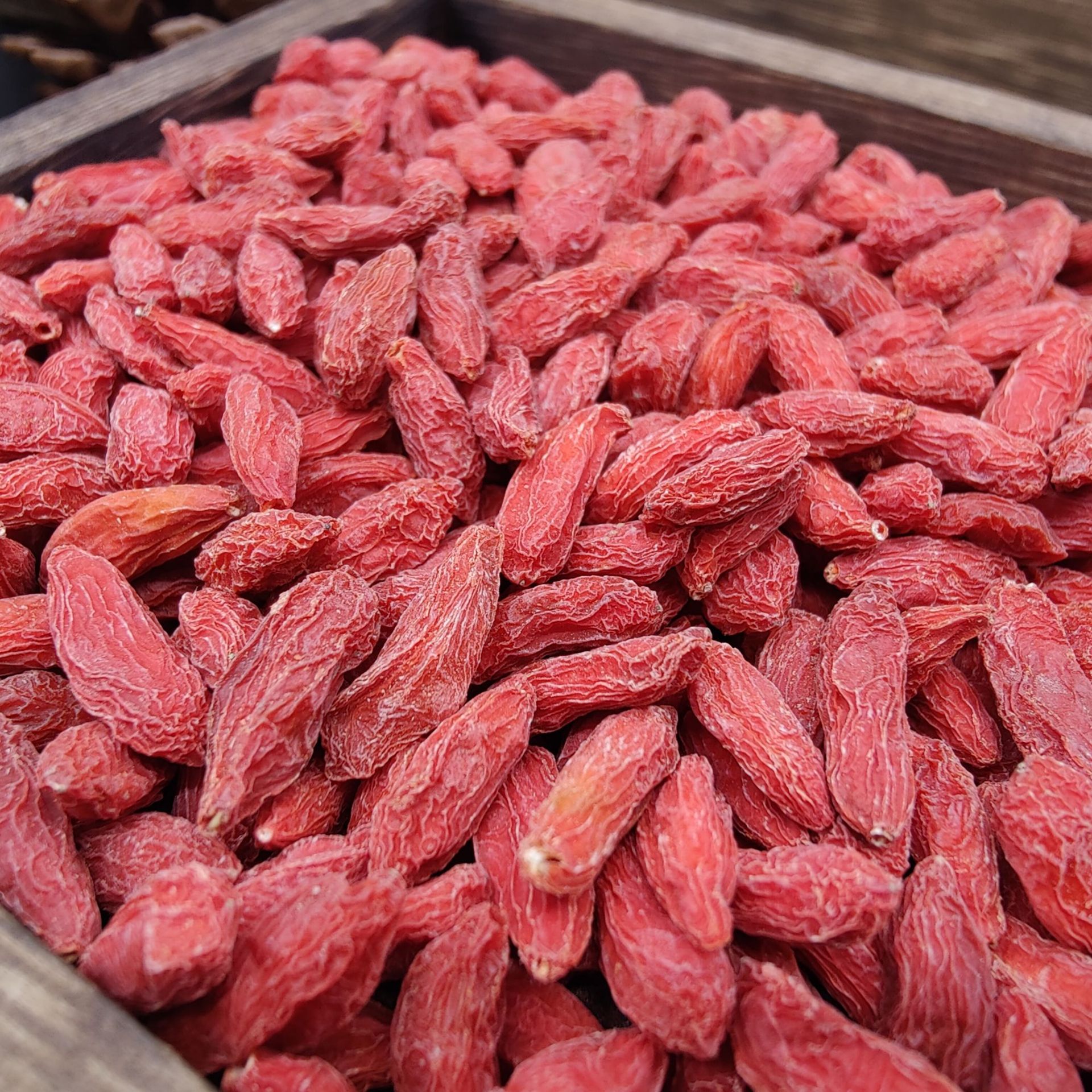 宁夏枸杞子批发250g罐装2022新货原色原味正宗大颗粒枸杞现货代发