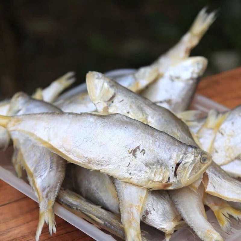 新货野生黄鲫鱼干100g-1000g毛扣鱼干油扣黄尖子鱼马口鱼干小咸鱼