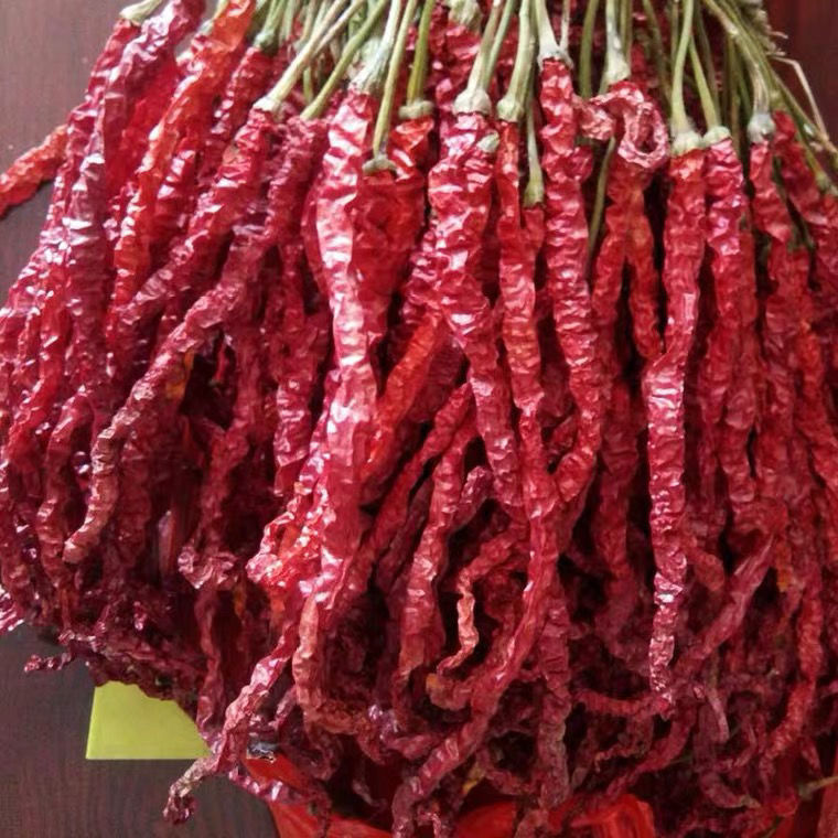 微辣超香精品新疆线皱椒四川味二荆条干辣椒秦椒油辣子新货干辣椒