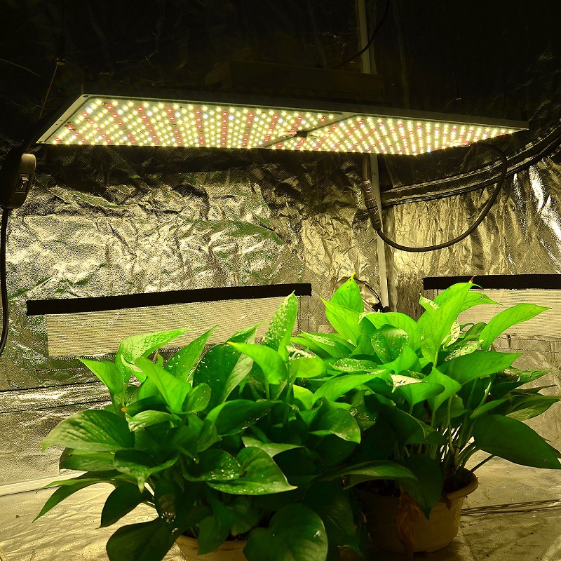 新款led植物生长灯 量子板植物灯 quantum board植物灯板防水补光