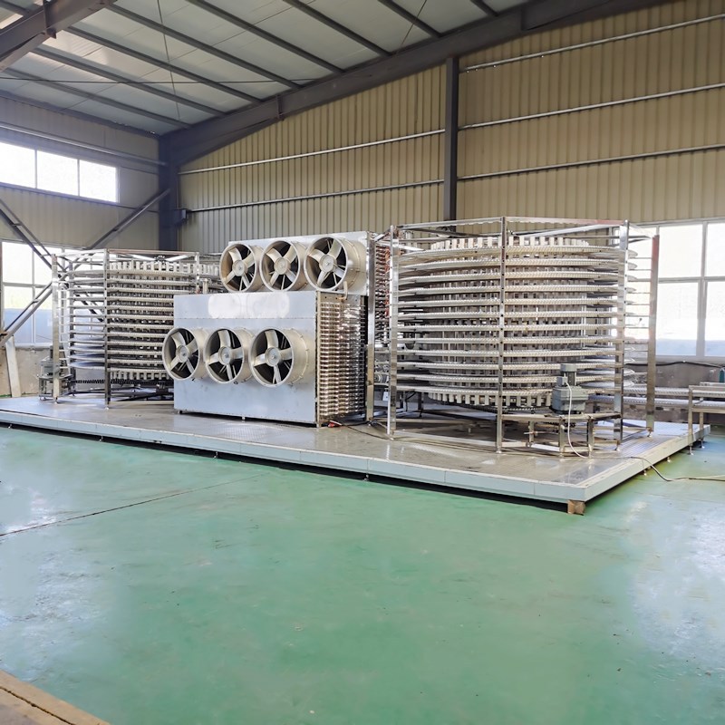 加工定做红枣哈密瓜干冻干机  果蔬秋葵冻干机 黄花鱼螺旋速冻机