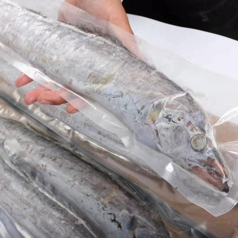 带鱼渤海湾野生刀鱼海鱼大连特产年货送礼礼盒装大号冷冻生鲜包邮