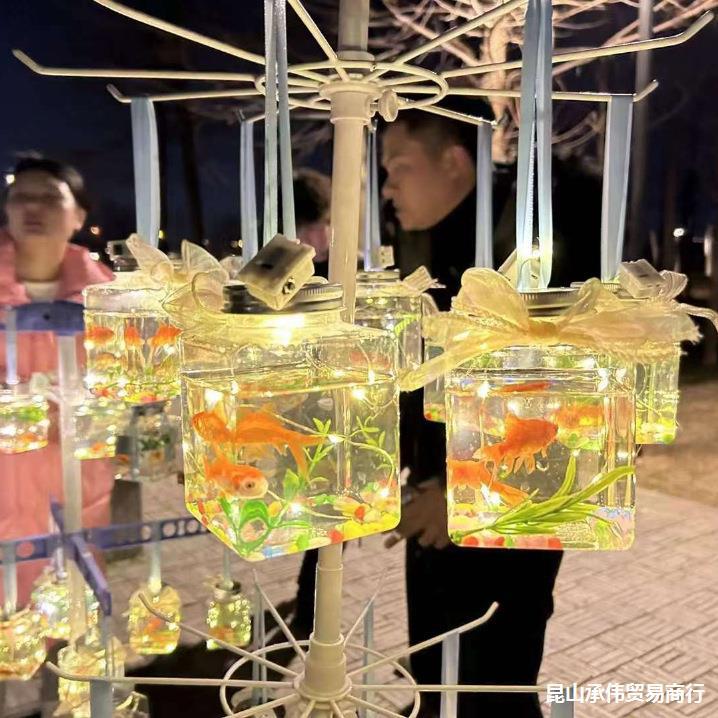 Stall New Project Stall New Product Internet Celebrity Luminous Cans Fish Park Square Night Market Hot Sale Hot Sale Small Goldfish