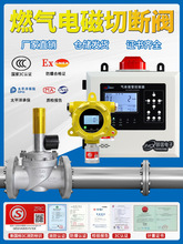 工业燃气泄漏报警器自动切断阀厨房商用气紧急防爆电磁阀DN80