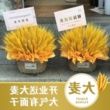 金色麦穗开业大麦插花花篮花束干花客厅装饰道具摆件手提篮子