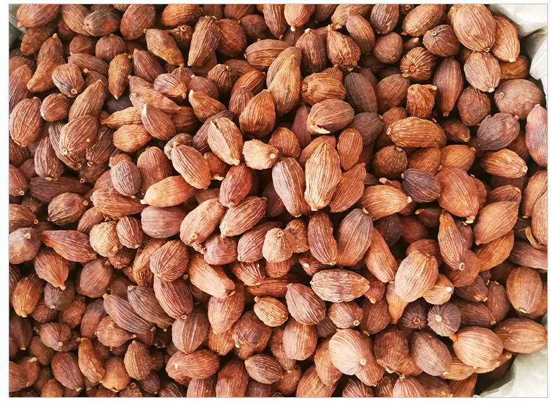 云南草果500g 大草果仁 草豆蔻 调味香料 干货调味品草果炖肉扣